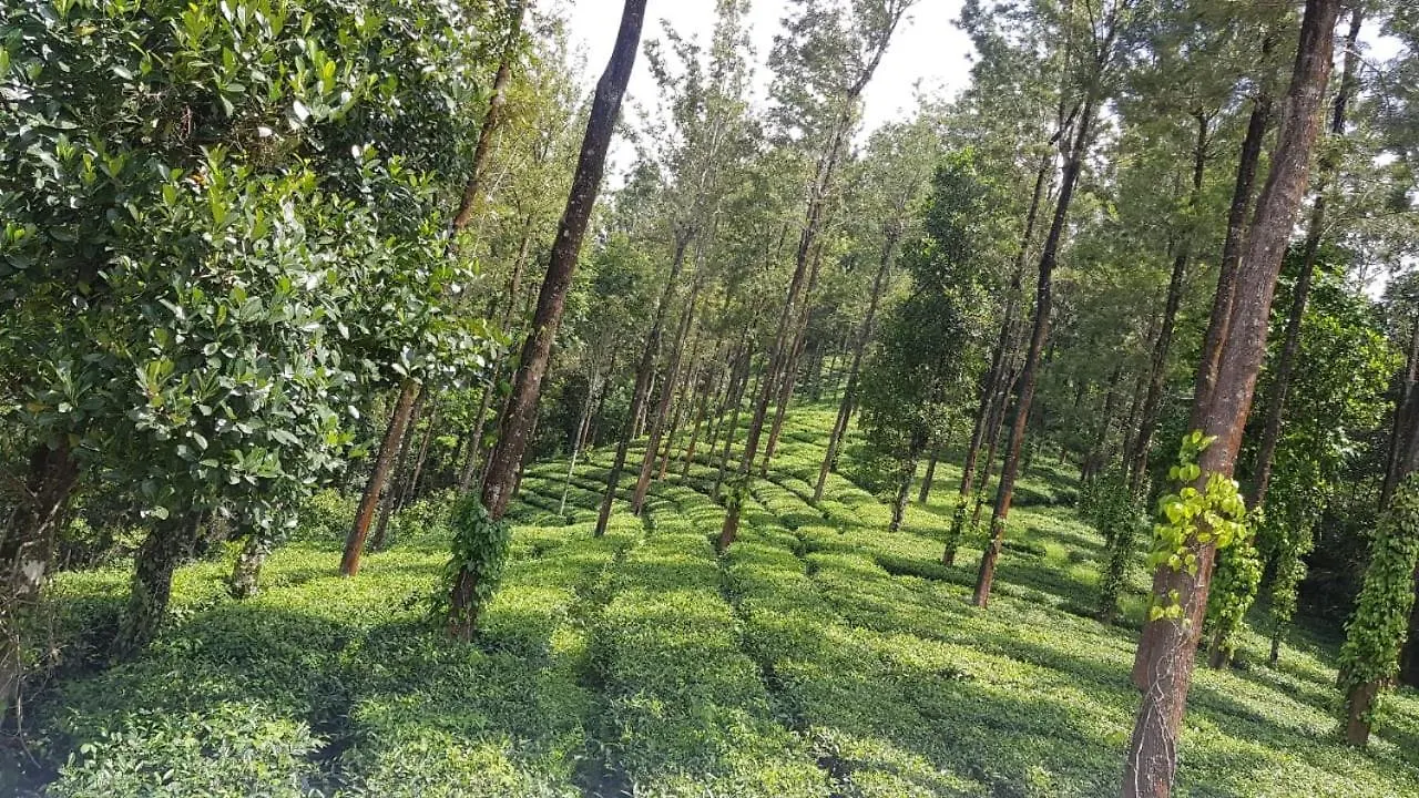 Apartamento Japanese Estate Bunglow Munnar Índia